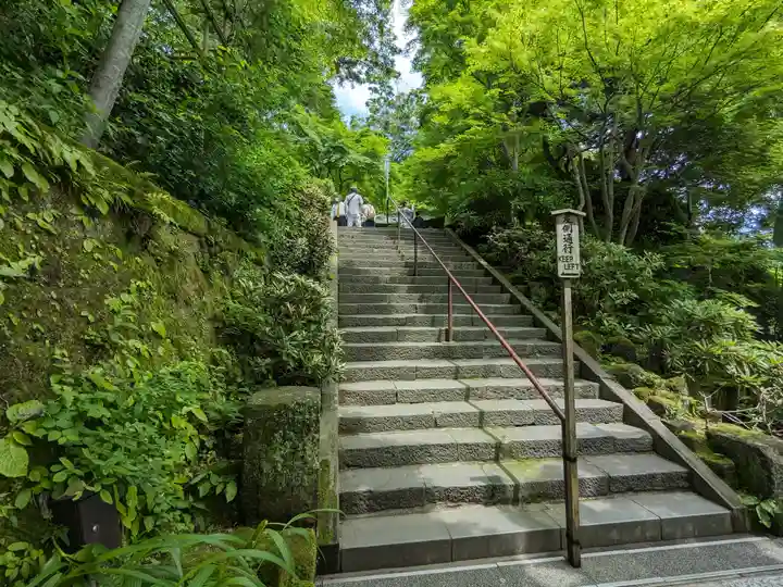 長谷寺(神奈川県)
