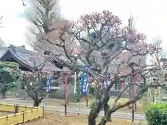 輪王寺両大師堂(寛永寺輪王殿)(東京都)