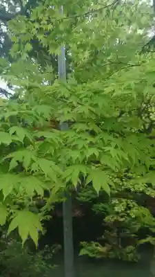 大縣神社(愛知県)