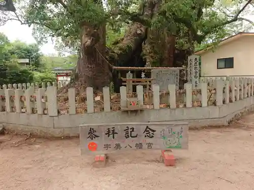 宇美八幡宮(福岡県)
