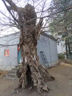 備後須賀稲荷神社(埼玉県)