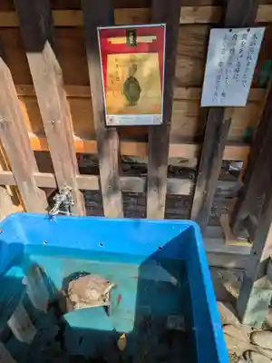 下谷神社(東京都)