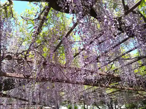 徳王稲荷社・金刀比羅社(愛知県)