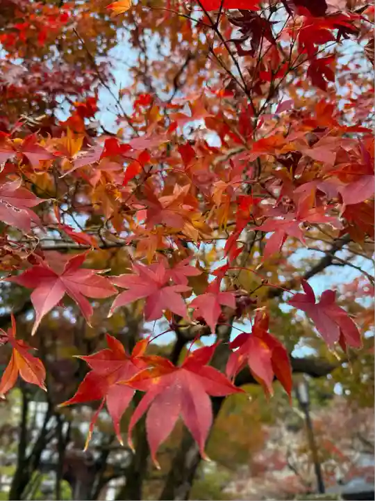 修禅寺(静岡県)