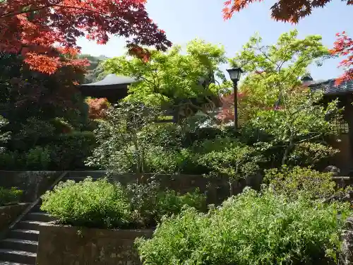 海蔵寺の庭園