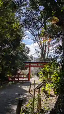 半木神社（賀茂別雷神社境外末社）(京都府)
