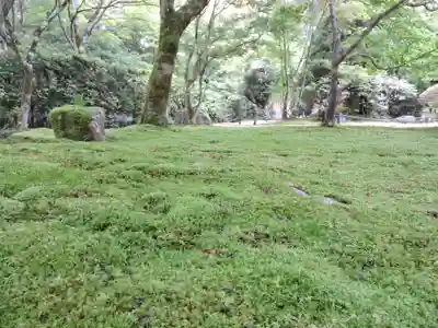 西芳寺(京都府)