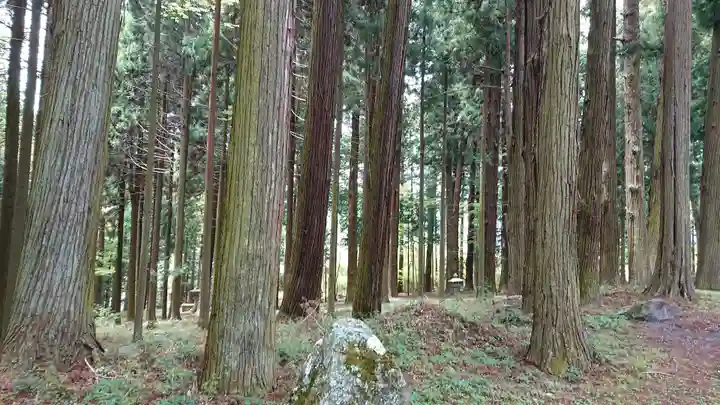 新海三社神社の自然