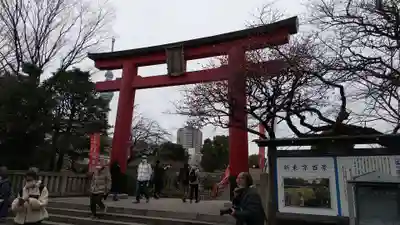 亀戸天神社の鳥居