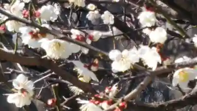 瀬戸神社(神奈川県)