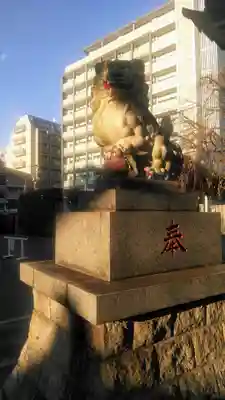 荻窪白山神社の狛犬