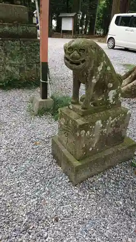 間々田八幡宮の狛犬