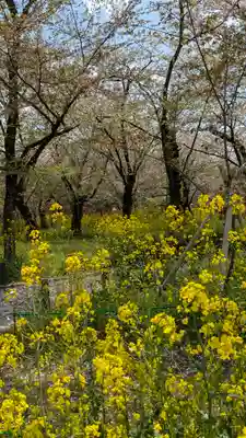 平野神社(京都府)