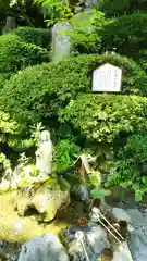 大正寺(中野不動尊)の手水