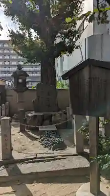 西岸寺(京都府)