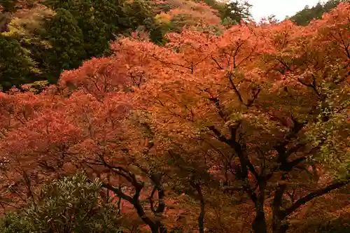 高山寺(京都府)