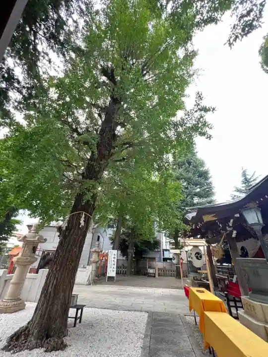 草加神社(埼玉県)
