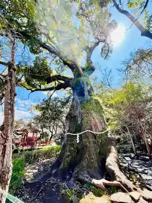 三嶋大社(静岡県)