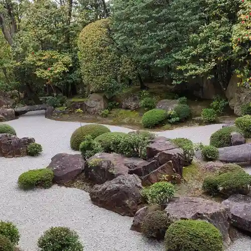 退蔵院の庭園