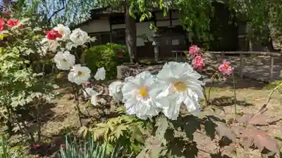 本満寺(本願満足寺)(京都府)