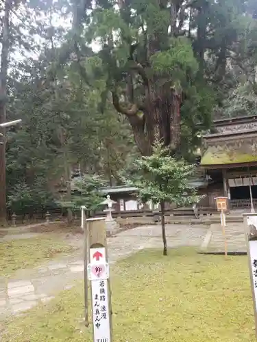 若狭姫神社（若狭彦神社下社）(福井県)