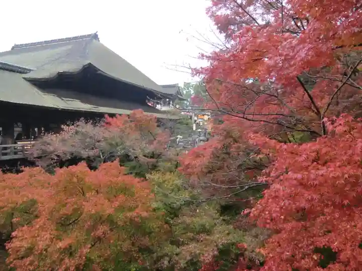 清水寺(京都府)