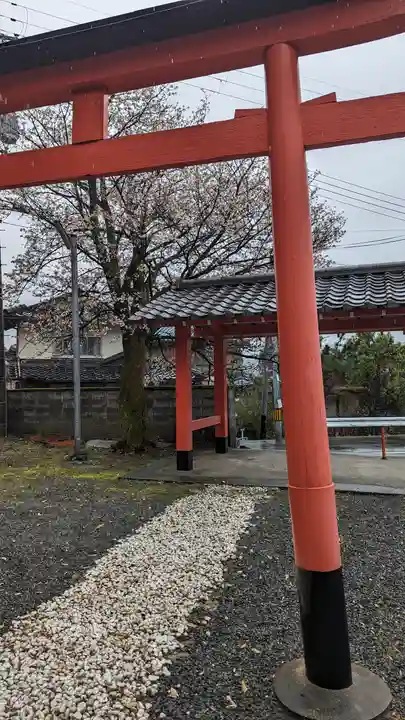 樫本神社(大原野神社境外摂社)の鳥居
