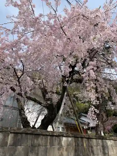 教重寺(福井県)