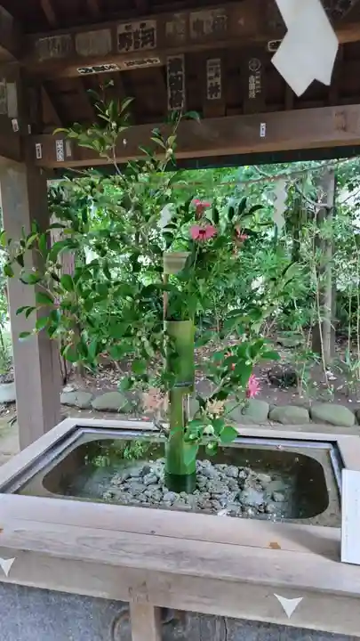 赤坂氷川神社(東京都)