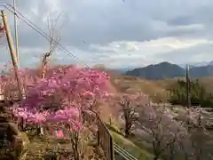 中之嶽神社の自然