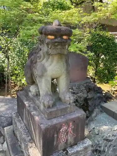 白山神社の狛犬