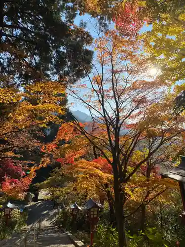 大善寺の景色