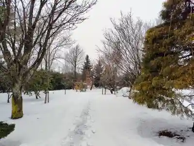 美瑛神社(北海道)