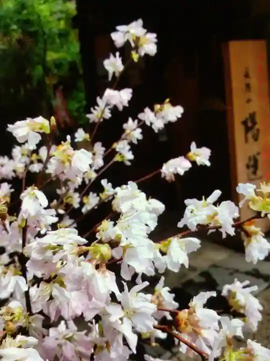 陽運寺(東京都)