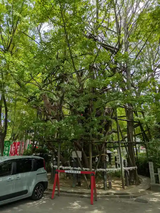 稲毛神社(神奈川県)