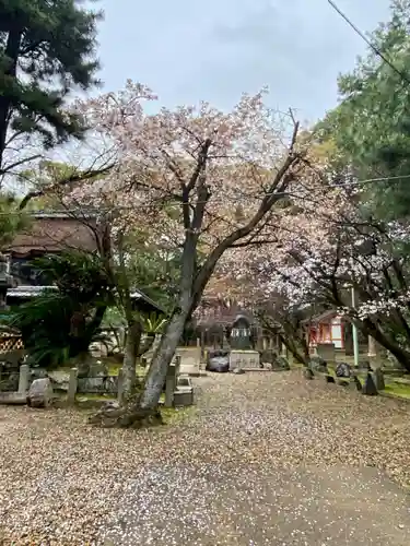 御香宮神社(京都府)