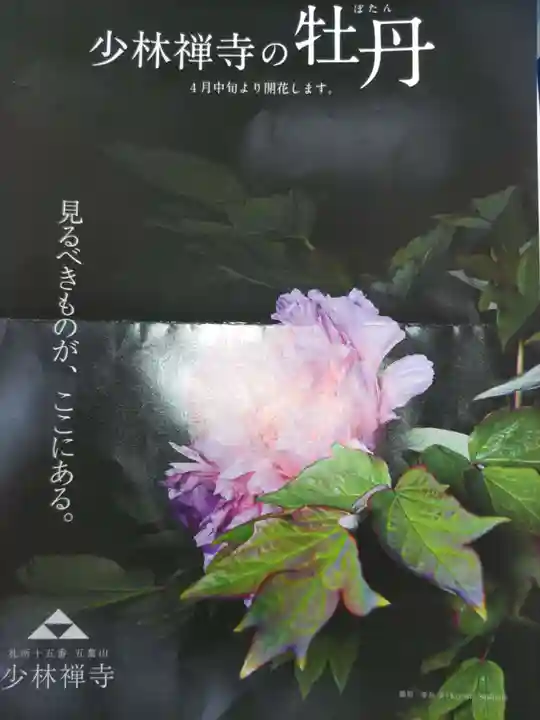 少林寺(埼玉県)