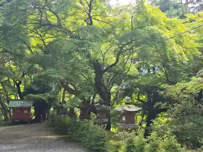 談山神社(奈良県)
