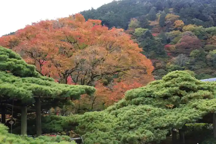 善峯寺(京都府)