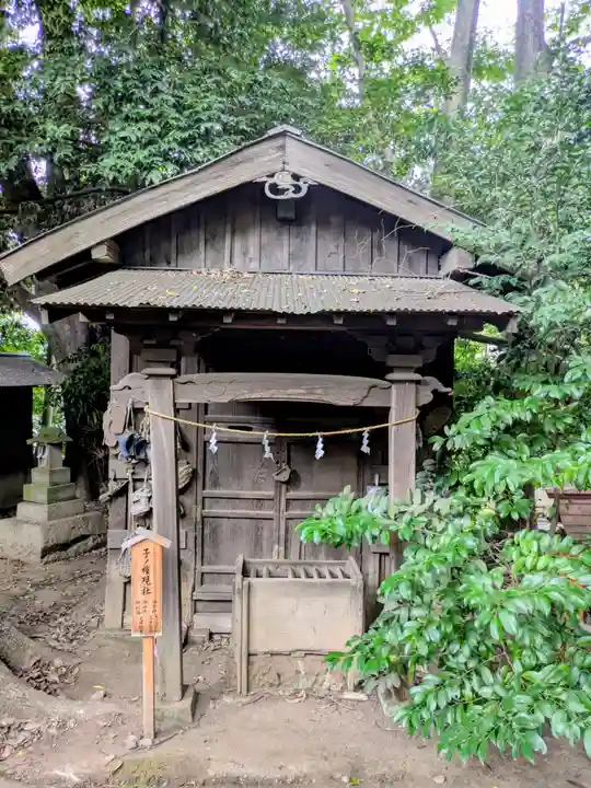 川越氷川神社(埼玉県)