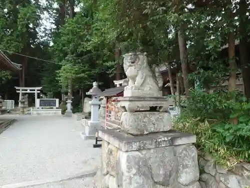 立志神社の狛犬