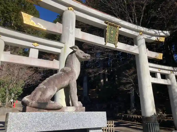 三峯神社の狛犬