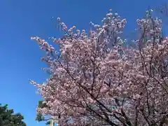 彌彦神社　(伊夜日子神社)(北海道)