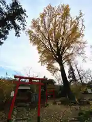 飯福神社(群馬県)