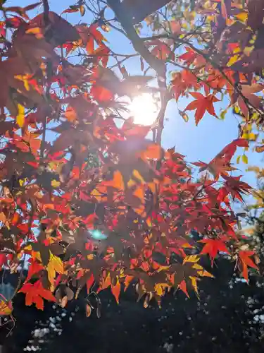福蔵院(東京都)
