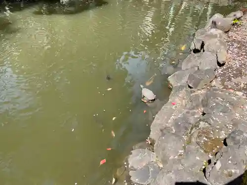 七渡神社（七渡弁天社）(東京都)