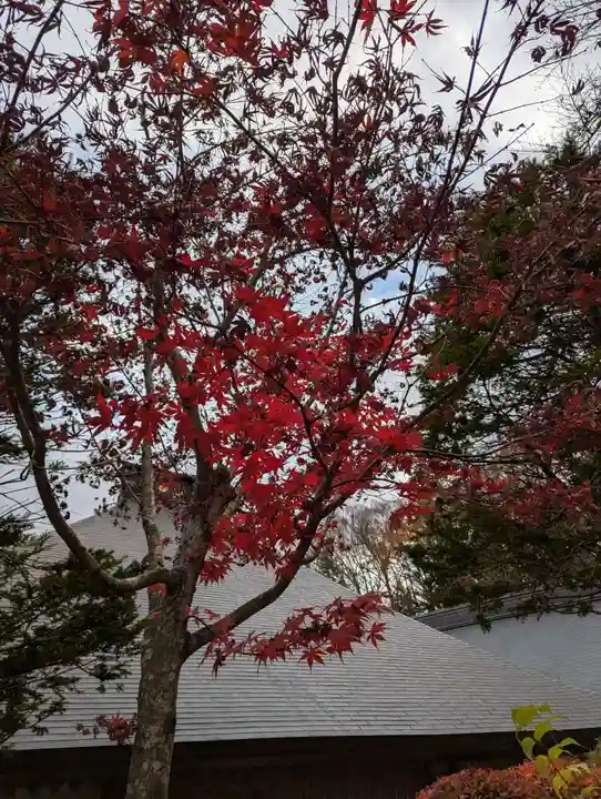 東円寺(山梨県)