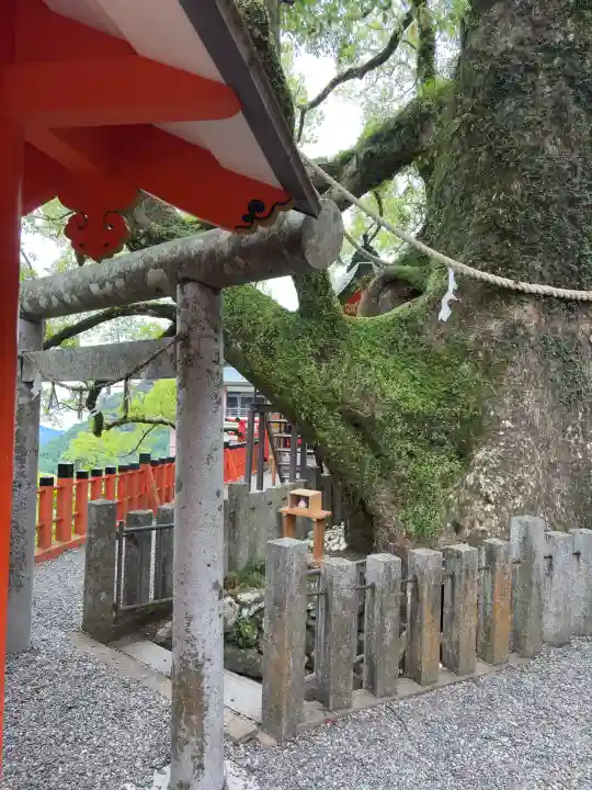 熊野那智大社の{uncategorized: "未分類", other: "その他", undefined: "問題あり", building: "その他建物", grave: "お墓", sacred_gate: "鳥居", guardian: "狛犬", statue: "像", buddha: "仏像", history: "歴史", nature: "自然", garden: "庭園", animal: "動物", pagoda: "塔", temizu: "手水舎", mountain_gate: "山門・神門", sanctuary: "本殿・本堂", subordinate: "末社・摂社", art: "芸術", scenery: "景色", jizo: "地蔵", ema: "絵馬", goshuin: "御朱印", omikuji: "おみくじ", items: "授与品その他", amulet: "お守り", goshuincho: "御朱印帳", eats: "食事", festival: "お祭り", votive_dance: "神楽", shichigosan: "七五三参", wedding: "結婚式", experience: "体験その他", initially: "初詣", around: "周辺", anti_infection: "感染症対策"}
