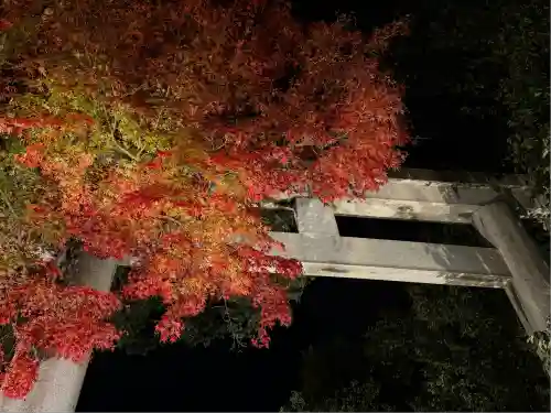 秩父神社(埼玉県)