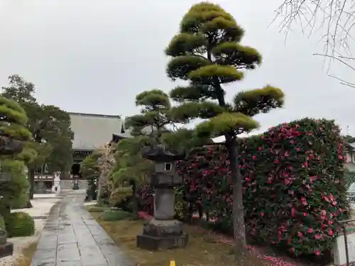 松林寺のその他建物